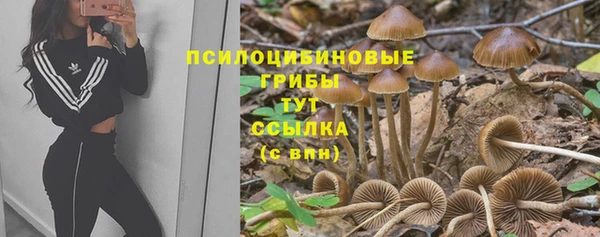 не бодяженный Верхний Тагил