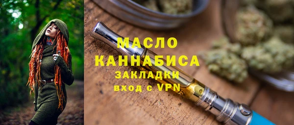 твердый Бородино